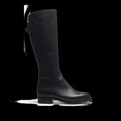 Botte